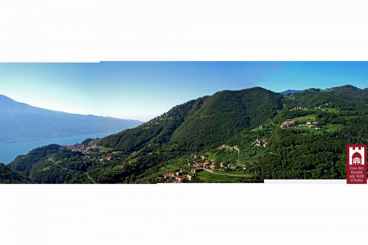 Villetta Ulivi Ca7 Sun Terrace By Gardadomusmea Tremosine Kültér fotó