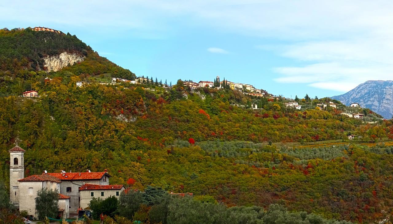 Villetta Ulivi Ca7 Sun Terrace By Gardadomusmea Tremosine Kültér fotó